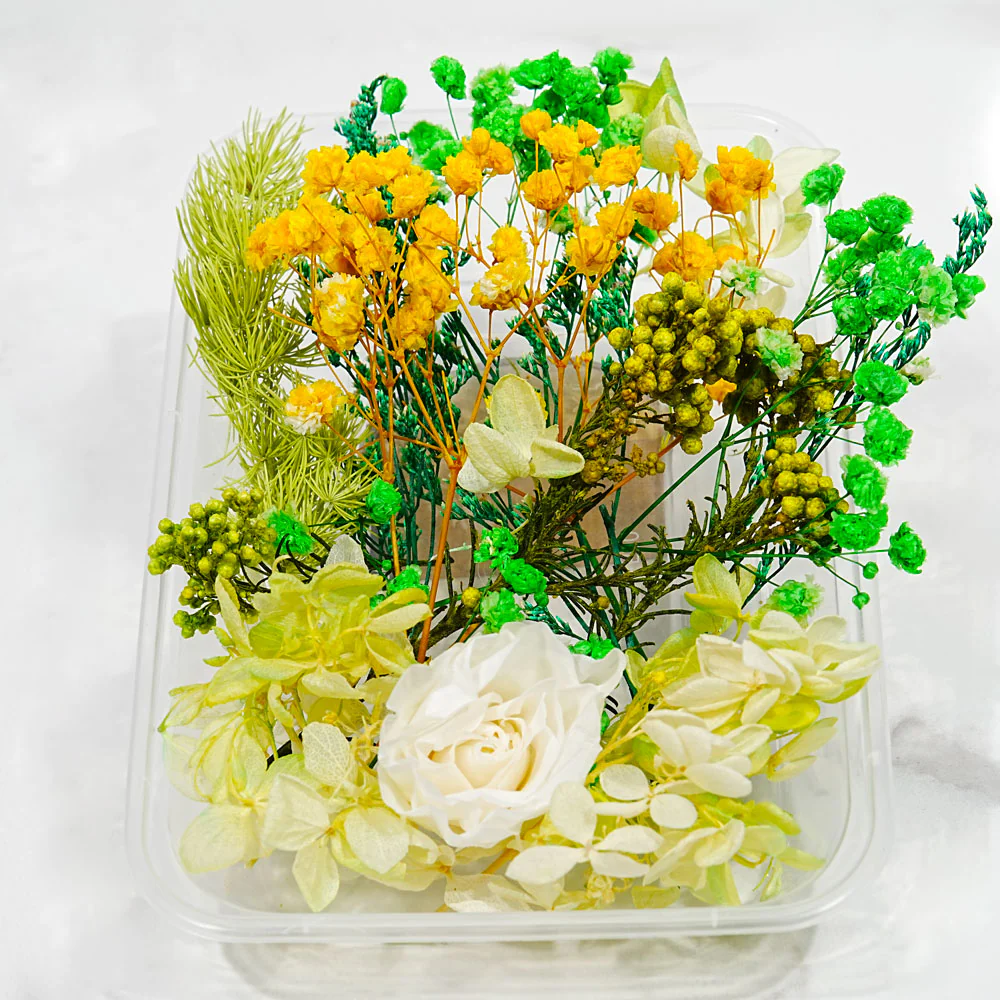 Miniature 3